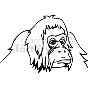 A black and white clipart image of a orangutans
 face with detailed features.