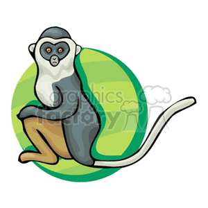 This is a clipart image of a monkey with a distinct white face and long tail. The monkey is sitting in front of a green circular background.