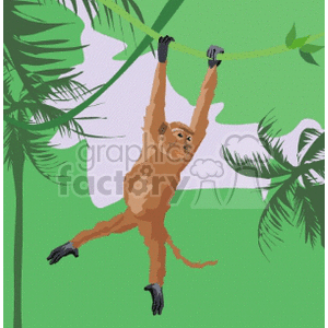 Clipart image of a monkey hanging from a vine in a jungle with green foliage.