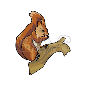 The clipart image shows a cartoon of a red-brown squirrel perched on a tree branch. The squirrel appears to be in an alert or active pose, commonly associated with these energetic rodents.