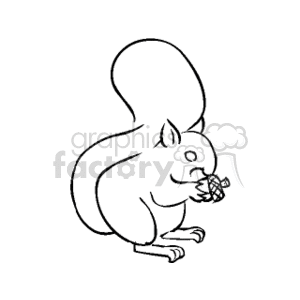 Squirrel with Nut - Black and White Rodent