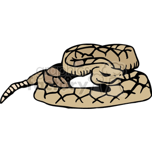 Illustration of a Coiled Rattlesnake