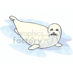Adorable Baby Seal on Ice