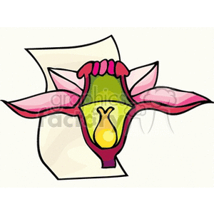 Clipart illustration of a flower's internal structure, highlighting parts such as petals and reproductive components, used for educational purposes in botany and biology.