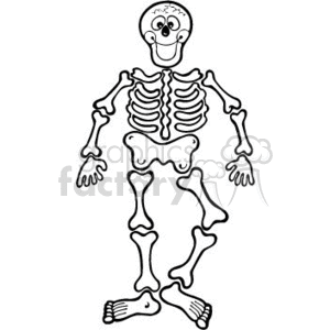   This clipart image depicts a smiling cartoon skeleton that is associated with Halloween. It features a simplified representation of human skeletal bones including the skull, ribcage, arms, spine, pelvis, legs, and feet. The skeleton