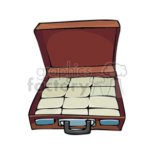 Briefcase with Money