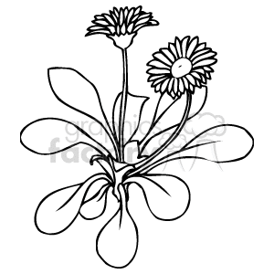 The clipart image displays a stylized representation of two flowers with petals and leaves. One flower appears to be a daisy, recognizable by its disk-like center with radiating petals.