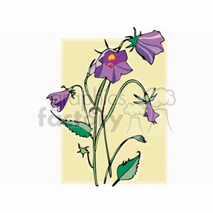 Illustration of purple bell-shaped flowers with green stems and leaves.