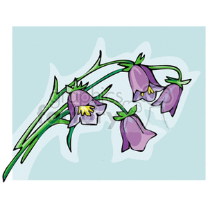 Illustration of purple bell-shaped flowers with green stems on a light background.