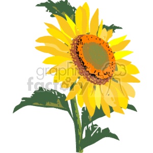 The clipart image features a single sunflower with bright yellow petals and a brown center, typical of what you might see in nature. The sunflower is set against a transparent background and has green leaves stemming from a green stalk.