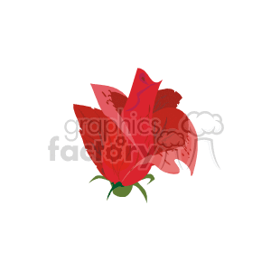The image is a clipart illustration of a red rose that appears to be in the blooming stage with several petals visible. The rose has a green sepals at the base of the blossom.