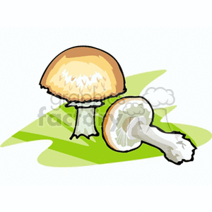 mushroom37