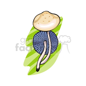 mushroom44