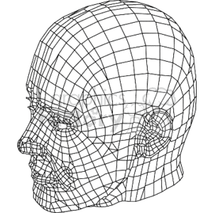 3D wireframe head