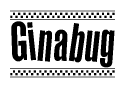 The image contains the text Ginabug in a bold, stylized font, with a checkered flag pattern bordering the top and bottom of the text.