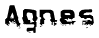 The image contains the word Agnes in a stylized font with a static looking effect at the bottom of the words