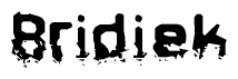 This nametag says Bridiek, and has a static looking effect at the bottom of the words. The words are in a stylized font.