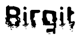 The image contains the word Birgit in a stylized font with a static looking effect at the bottom of the words
