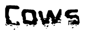 The image contains the word Cows in a stylized font with a static looking effect at the bottom of the words