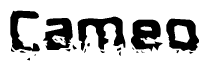 The image contains the word Cameo in a stylized font with a static looking effect at the bottom of the words
