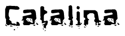 The image contains the word Catalina in a stylized font with a static looking effect at the bottom of the words