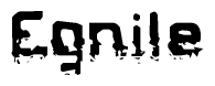   The image contains the word Egnile in a stylized font with a static looking effect at the bottom of the words 