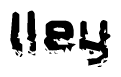 This nametag says Iley, and has a static looking effect at the bottom of the words. The words are in a stylized font.