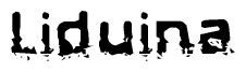 The image contains the word Liduina in a stylized font with a static looking effect at the bottom of the words