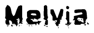 The image contains the word Melvia in a stylized font with a static looking effect at the bottom of the words