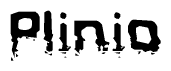 The image contains the word Plinio in a stylized font with a static looking effect at the bottom of the words