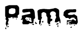 The image contains the word Pams in a stylized font with a static looking effect at the bottom of the words