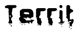 This nametag says Territ, and has a static looking effect at the bottom of the words. The words are in a stylized font.