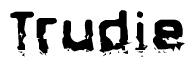 The image contains the word Trudie in a stylized font with a static looking effect at the bottom of the words