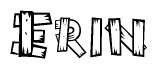 The image contains the name Erin written in a decorative, stylized font with a hand-drawn appearance. The lines are made up of what appears to be planks of wood, which are nailed together
