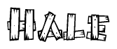 The image contains the name Hale written in a decorative, stylized font with a hand-drawn appearance. The lines are made up of what appears to be planks of wood, which are nailed together