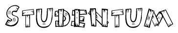The image contains the name Studentum written in a decorative, stylized font with a hand-drawn appearance. The lines are made up of what appears to be planks of wood, which are nailed together