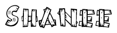 The image contains the name Shanee written in a decorative, stylized font with a hand-drawn appearance. The lines are made up of what appears to be planks of wood, which are nailed together