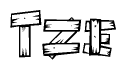 The image contains the name Tze written in a decorative, stylized font with a hand-drawn appearance. The lines are made up of what appears to be planks of wood, which are nailed together