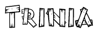 The clipart image shows the name Trinia stylized to look as if it has been constructed out of wooden planks or logs. Each letter is designed to resemble pieces of wood.