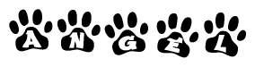 The image shows a series of animal paw prints arranged in a horizontal line. Each paw print contains a letter, and together they spell out the word Angel.