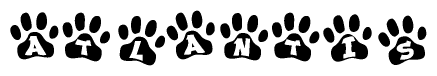 The image shows a series of animal paw prints arranged horizontally. Within each paw print, there's a letter; together they spell Atlantis
