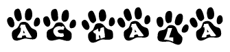 The image shows a row of animal paw prints, each containing a letter. The letters spell out the word Achala within the paw prints.