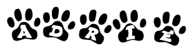 The image shows a series of animal paw prints arranged horizontally. Within each paw print, there's a letter; together they spell Adrie