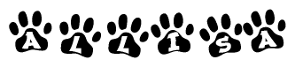 The image shows a series of animal paw prints arranged in a horizontal line. Each paw print contains a letter, and together they spell out the word Allisa.
