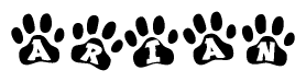 The image shows a series of animal paw prints arranged horizontally. Within each paw print, there's a letter; together they spell Arian