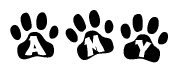 The image shows a row of animal paw prints, each containing a letter. The letters spell out the word Amy within the paw prints.