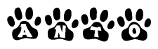 The image shows a series of animal paw prints arranged horizontally. Within each paw print, there's a letter; together they spell Anto