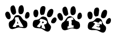 The image shows a series of animal paw prints arranged in a horizontal line. Each paw print contains a letter, and together they spell out the word Arie.
