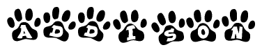 Animal Paw Prints with Addison Lettering