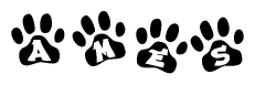The image shows a row of animal paw prints, each containing a letter. The letters spell out the word Ames within the paw prints.